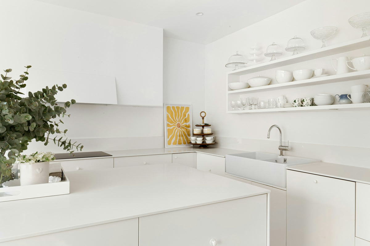 Cocina blanca ordenada con baldas abiertas y plantas